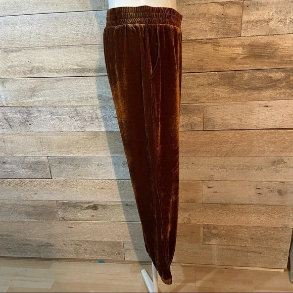 BNWT 7 For  all Mankind women’s velour joggers in size medium‎ - Picture 4 of 10